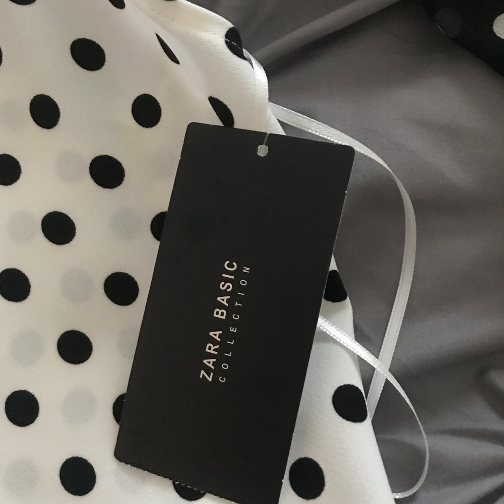Zara Polka Dot Dress
